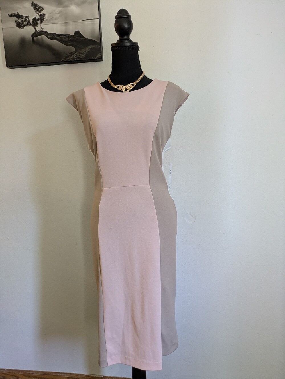 Shelby & Palmer Colorblock Sheath Dress NWT Size 16 Blush Taupe Ivory Office